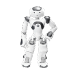 Humanoid